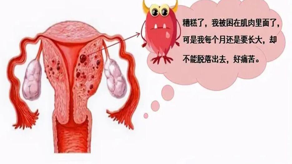 南京正规的供卵助孕机构有哪些 (154)