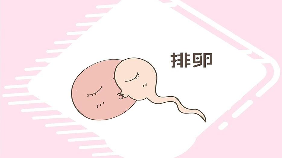2022江苏试管成功率的医院排名榜权威公布附15家最新助孕成功率及费用